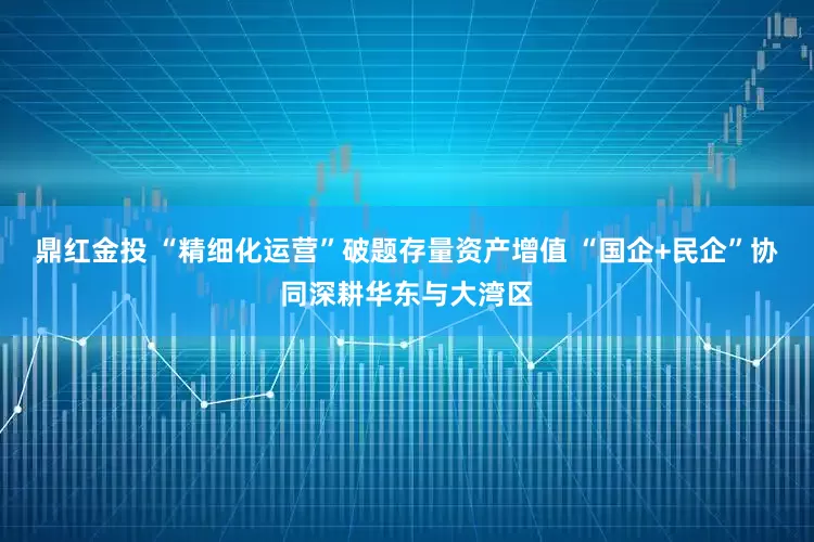 鼎红金投 “精细化运营”破题存量资产增值 “国企+民企”协同深耕华东与大湾区