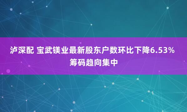泸深配 宝武镁业最新股东户数环比下降6.53% 筹码趋向集中